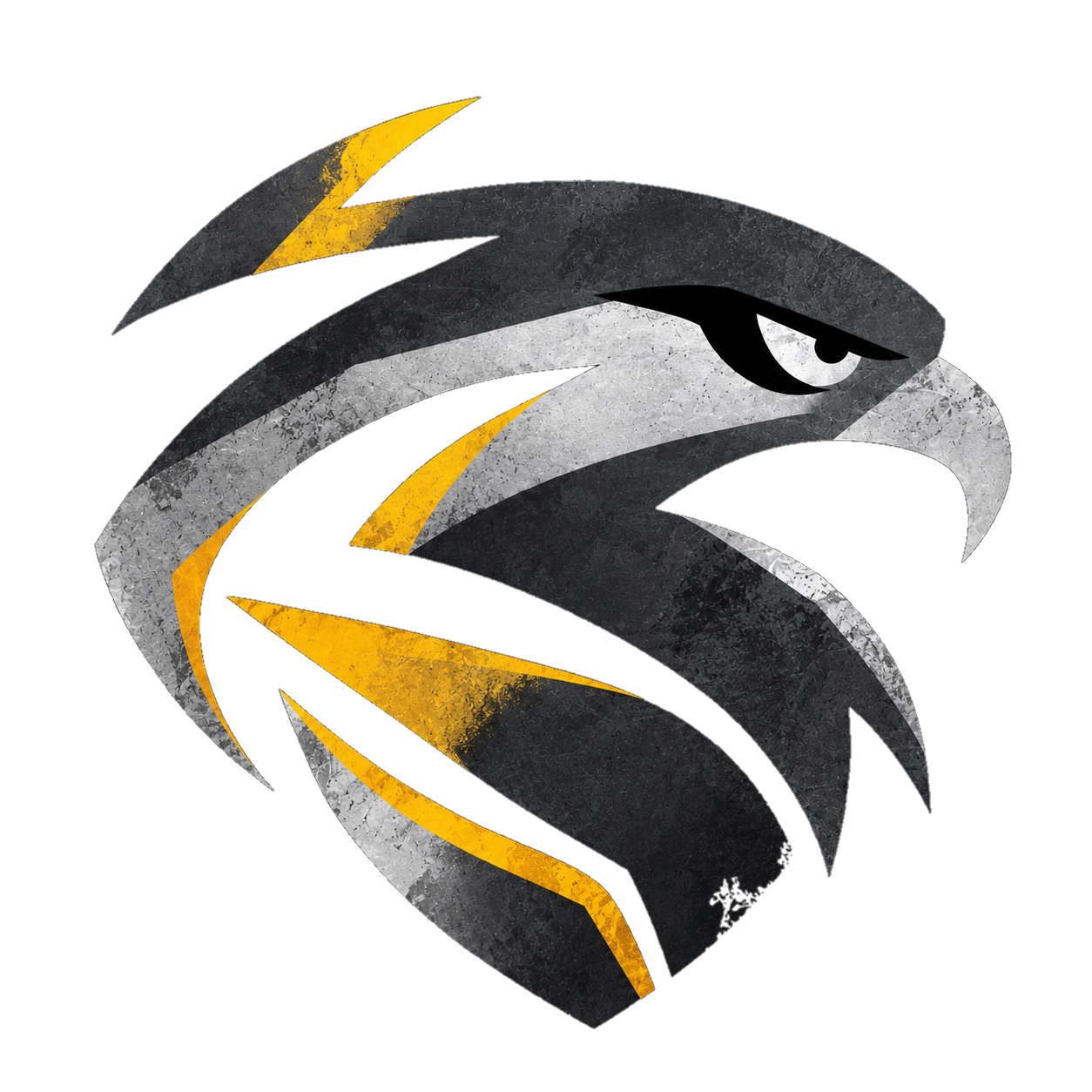 Rainbow Six Siege