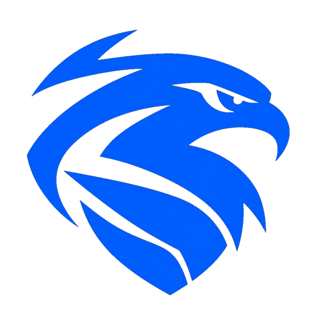 TEAM AIR logo